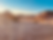IMG_6962.jpeg