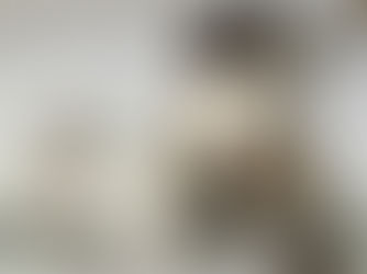 Cómo identificar un verdadero Ragdoll, La importancia de no dejarse engañar