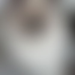 Cuidado y Mantenimiento de los Gatos Ragdoll