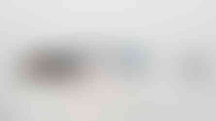 Gyotaku de sardine réalisé à l'aquarelle et retravaillé. L'oeil du poisson a été peint après l'empreinte.