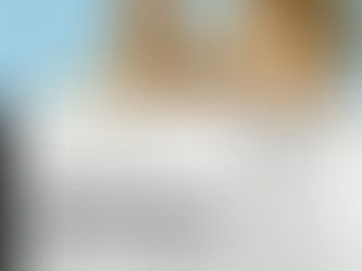 Stop Shopping Around for your Engagement Ring!