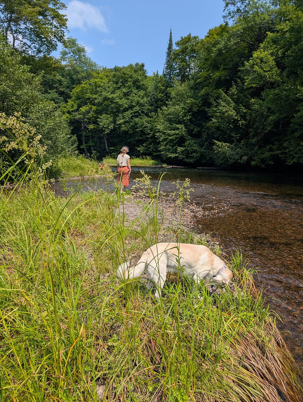 Lets get back to nature and the organic rhythms of life