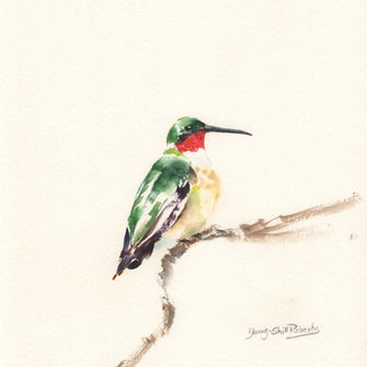 Original Watercolor painting of Ruby Throated Hummingbird (2) in the Birds collection. This painting is Sold.
