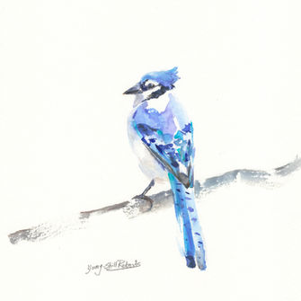 Original Watercolor painting of Blue Jay in the Birds collection. This painting is For Sale.