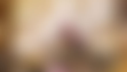 Baskin Robbins - Journey Of Monarch