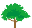 木