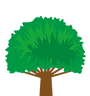 木
