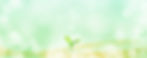 3462773_l_edited.jpg