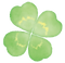 クローバー.png