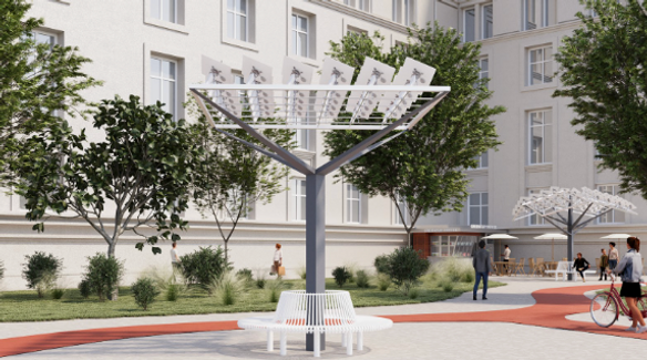 Solskin Tree
