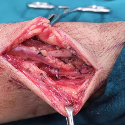 ab0ceaea-f291-4475-9152-b05ae4eb97f5_edi