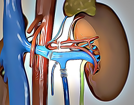 Screenshot 2021-05-05 at 10.54.07 AM.png