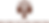 FullLogo_Transparent_NoBuffer.png