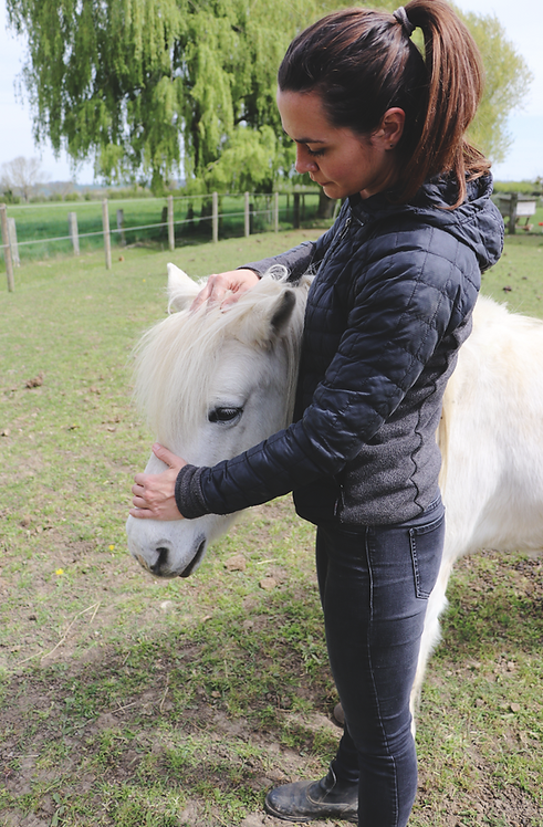 ostéopathe pour poney