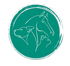 ostéopathe pour chien chat cheval