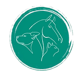 ostéopathe pour animaux