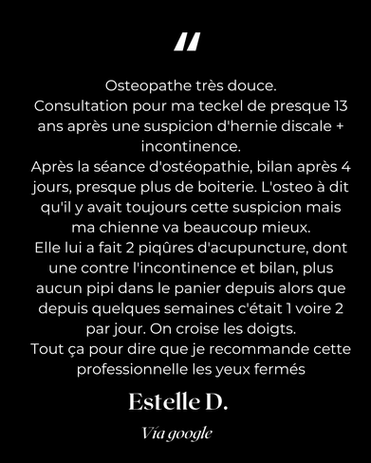 Avis client après une séance d'ostéopathie pour leur chien