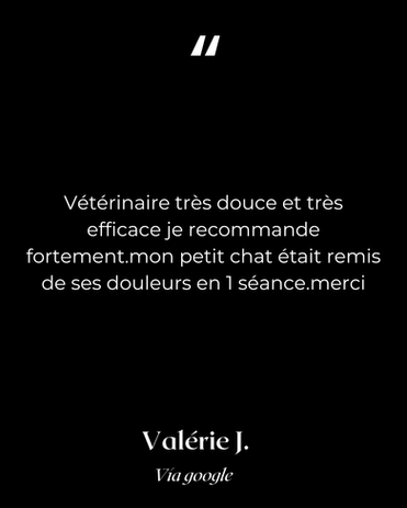 Bienfaits de l'ostéopathie pour les chats