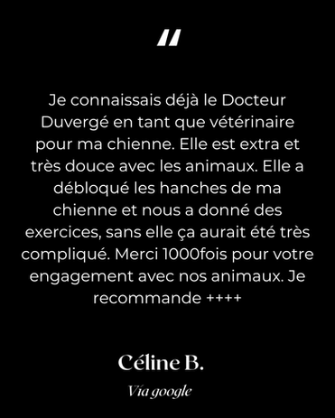 retour d'expérience pour le traitement de l'incontinence urinaire par l'acupuncture chez le chien
