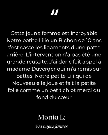 prise en charge en médecine manuelle d'un chat