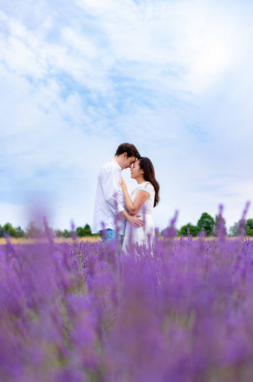 lavender farm engagement photoshoot