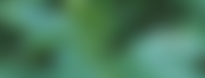 Free Group Healings - Sundays 7 pm PST Nettle Co. FB Page