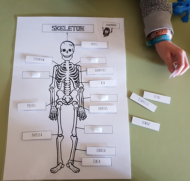 SKELETON_edited.jpg