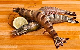 wild tiger prawns.png