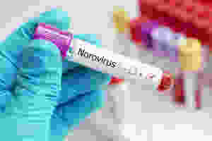 Norovirus infection control from React