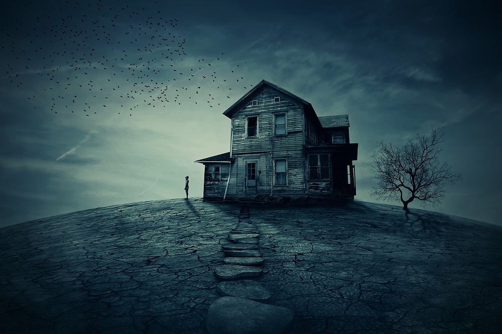 Dangers of visiting a vacant property. House of horrors?