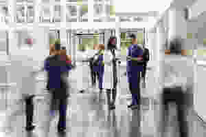 NHS and private hospital boiler and HVAC systems.