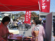 img_046.jpg