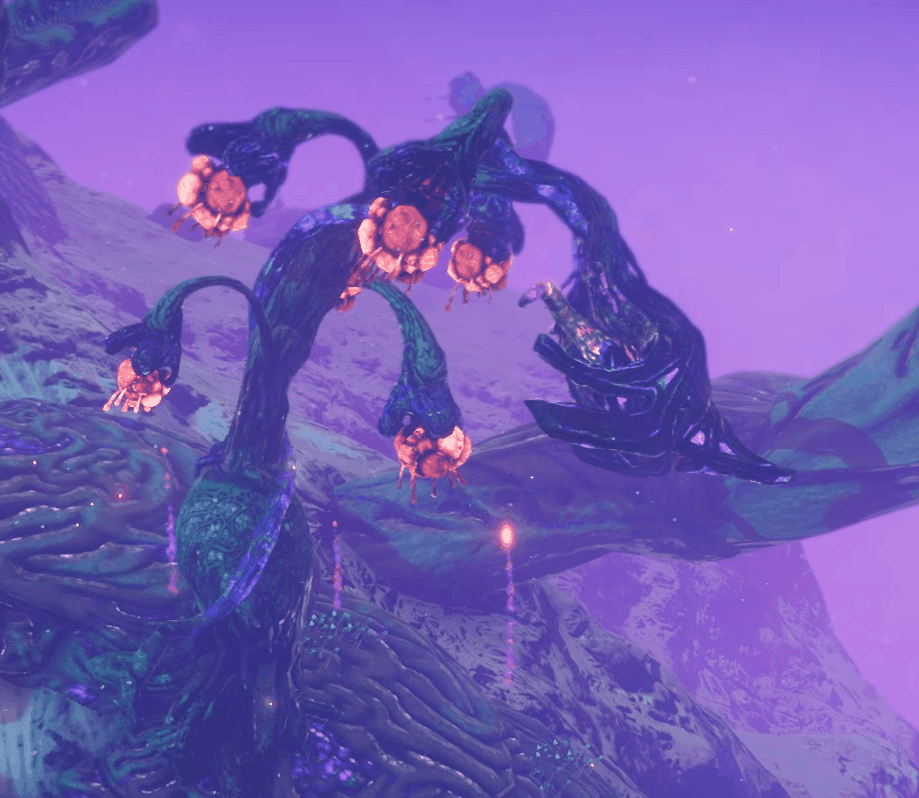 Medusa Tree