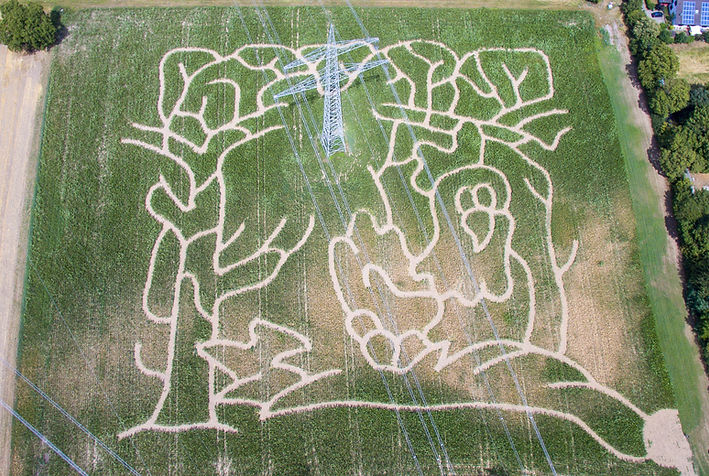 DJI_0016.jpg