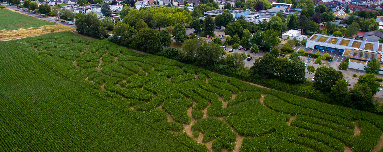 DJI_0033.jpg