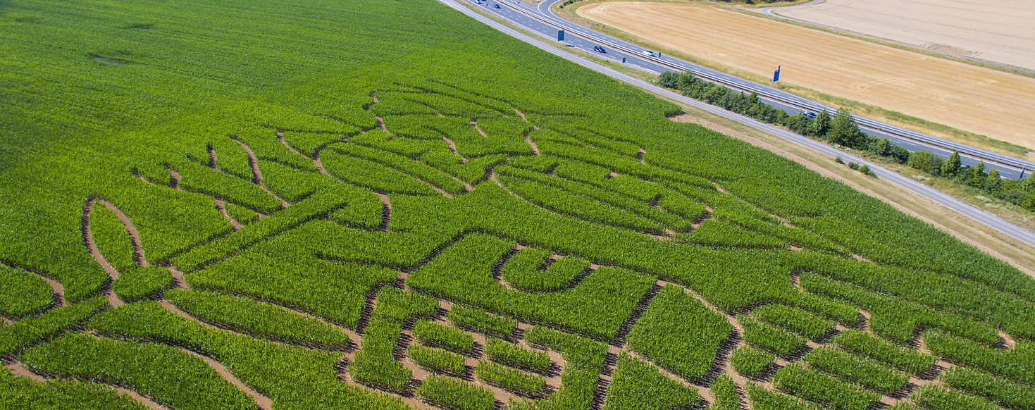 DJI_0065.jpg