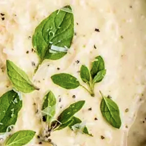 Large side of Alfredo