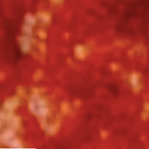 LARGE side of marinara