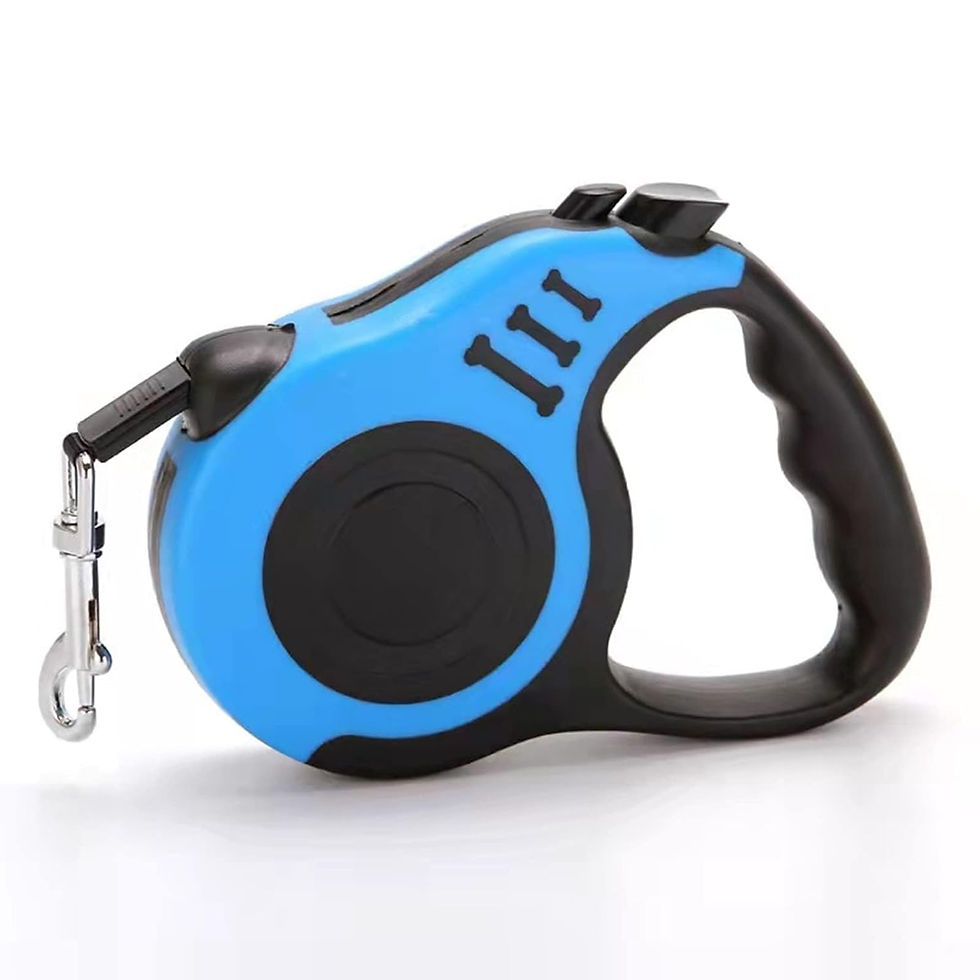 Retractable leash and belt for dogs