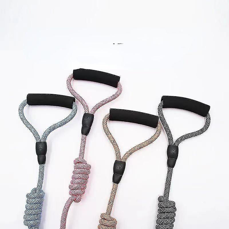 Thumbnail: small dog leash and harness
