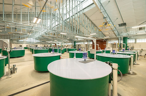 20231128-USK-Fish-Hatchery-182-Large 1.jpg