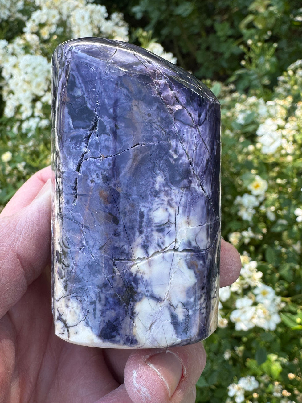 Thumbnail: Tiffany Stone