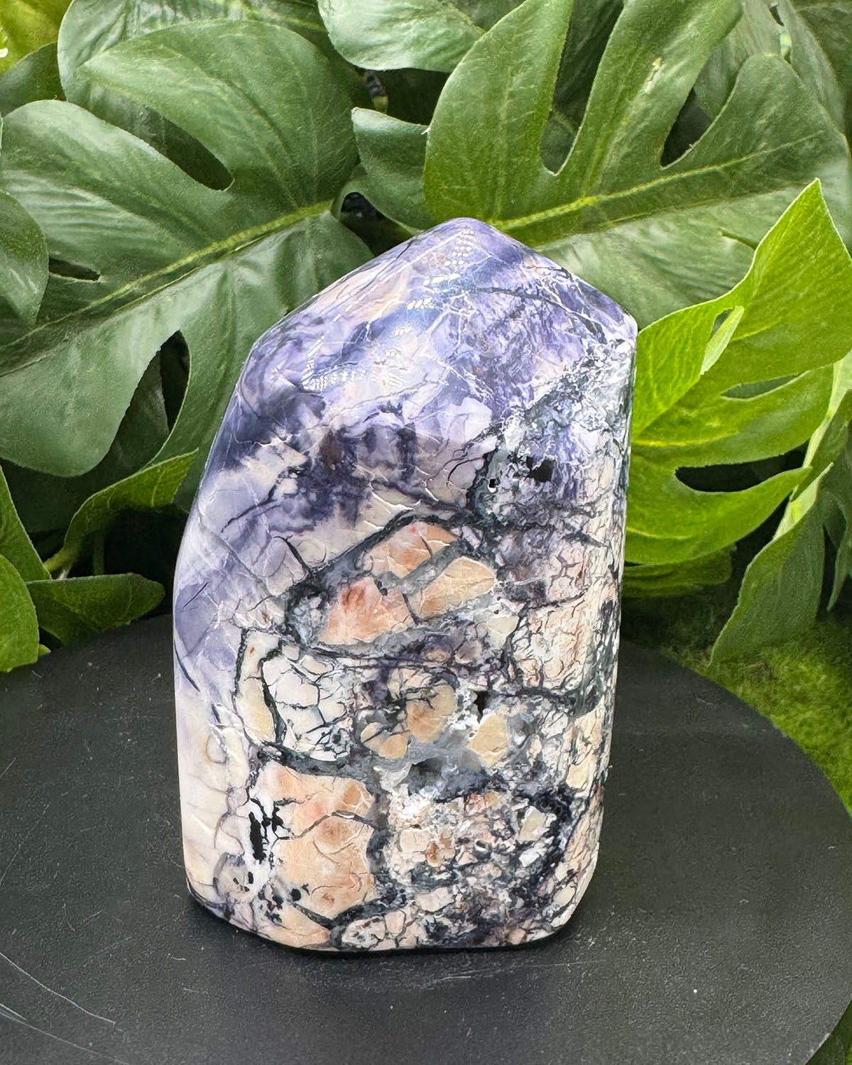 Tiffany Stone (Old Faithful)