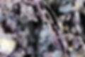 Tiffany with quartz_edited.jpg
