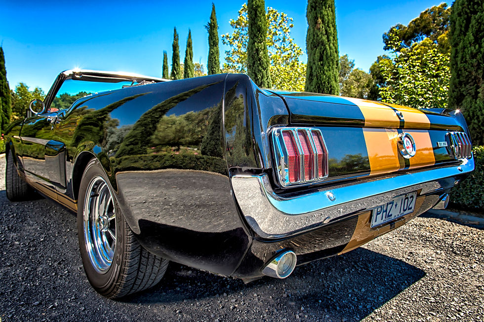 1966 Shelby GT350 Convertible