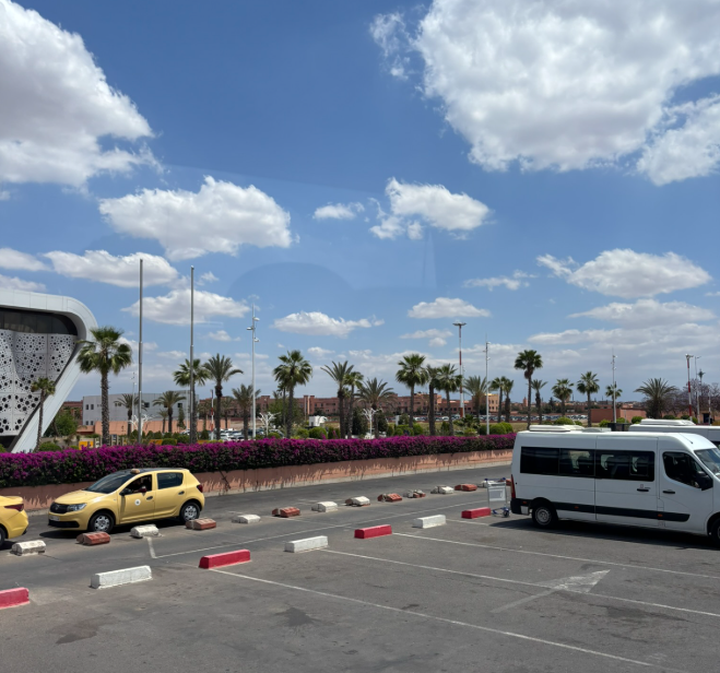 (2:33PM) Look at all those palm trees!!