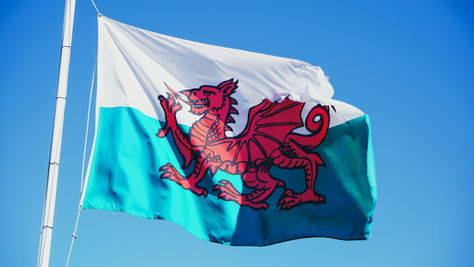 The Welsh flag