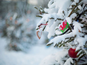 Merry Christmas from All of Us at Penrhos Park! 