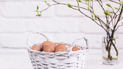 Fertility Testing 101: What Is An Antral Follicle Count (AFC) And Should You Get One?