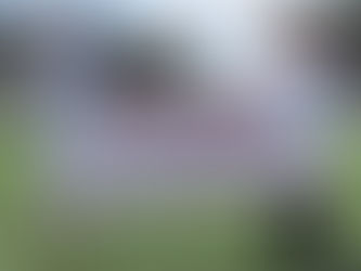 Moody Cup makes its debut at Gateshead International Stadium this weekend